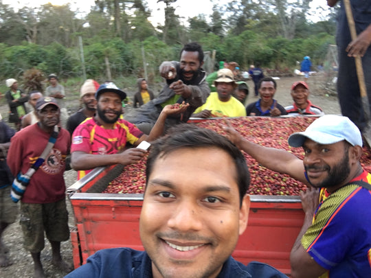 Roaster's Club April Feature: Sigri Estate Papua New Guinea Peaberry